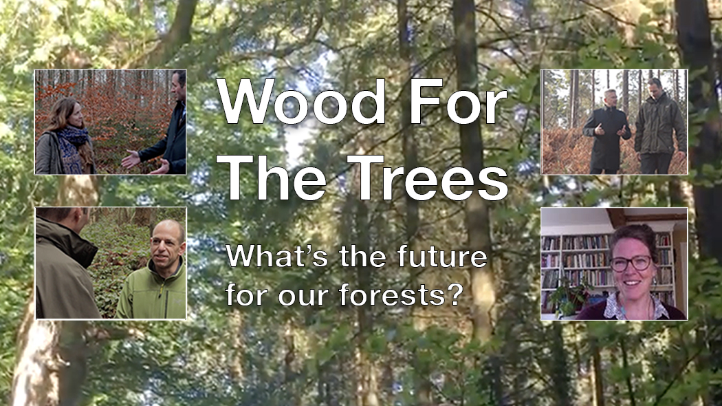 Wood for the Trees: watch part 4 of our series - Vastern