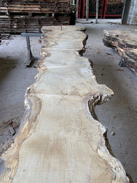 English burr oak plank 03101