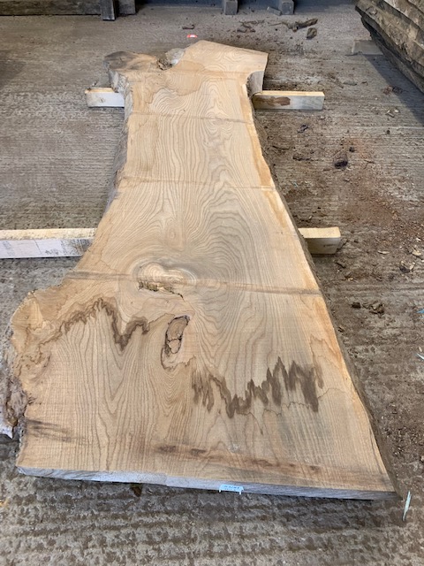 Elm board 03281